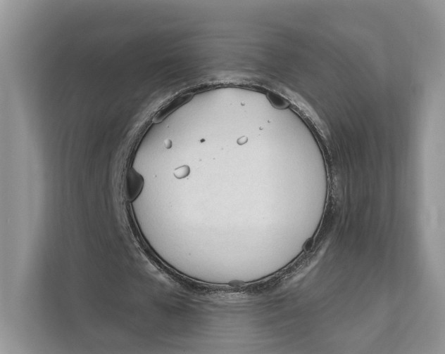 X0000111610577200908071332