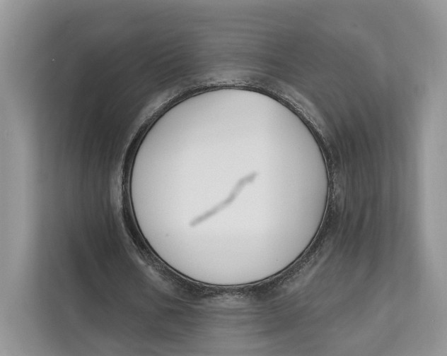 X0000111610578200908071332