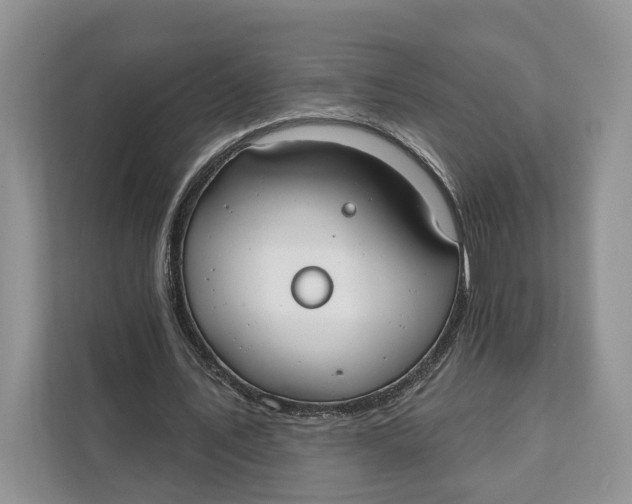 X0000111610579200908071332