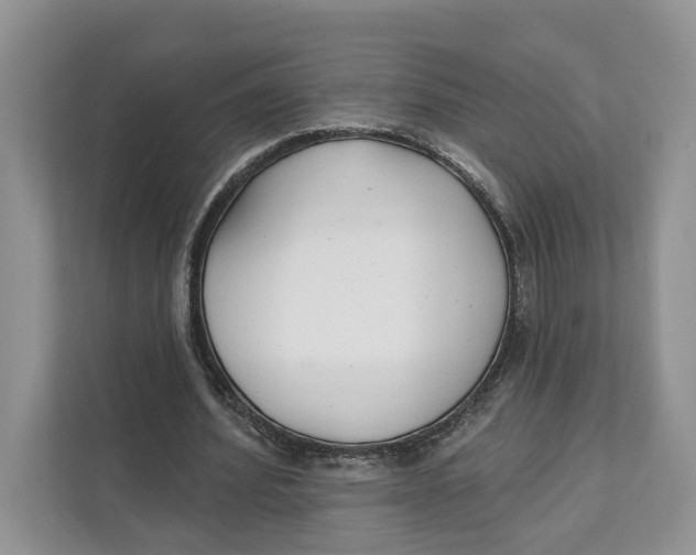 X0000111610580200908071332