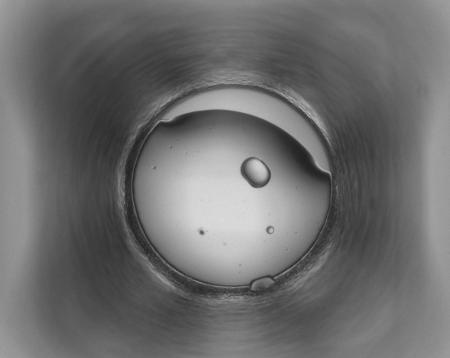 X0000111610581200908071332