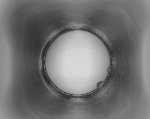 X0000111610582200908071332