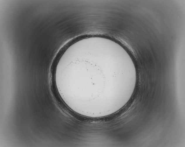 X0000111610584200908071332