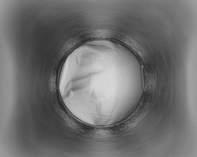 X0000111610585200908071332