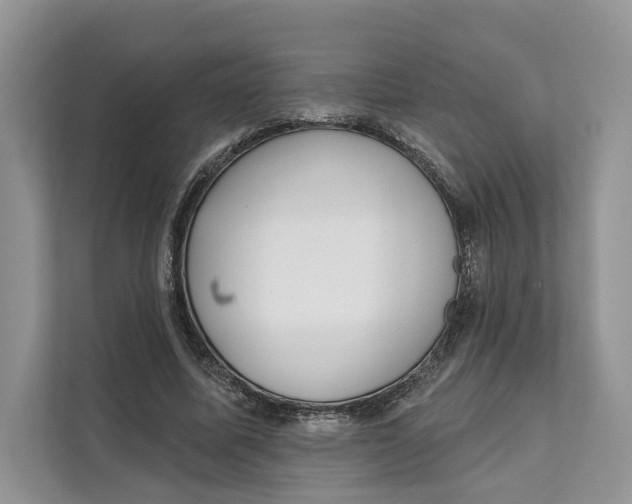 X0000111610587200908071332