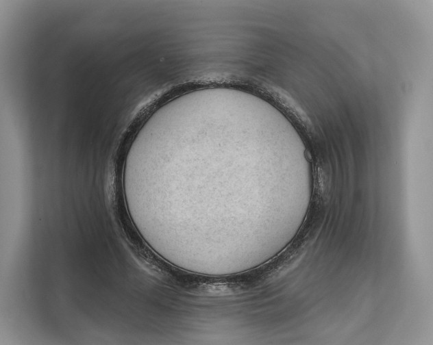 X0000111610588200908071332