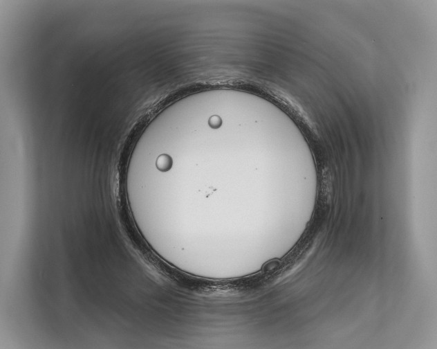 X0000111610589200908071332