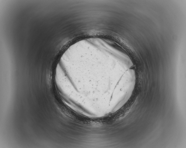 X0000111610592200908071332