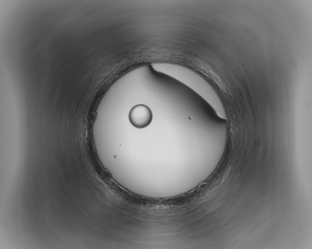 X0000111610593200908071332