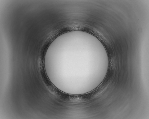 X0000111610594200908071332