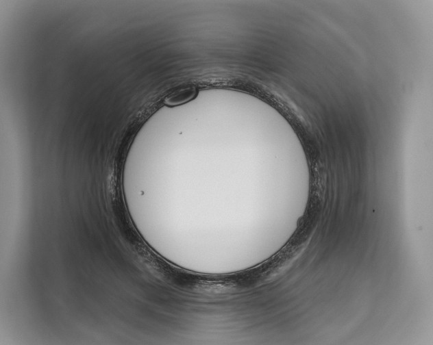 X0000111610597200908071332