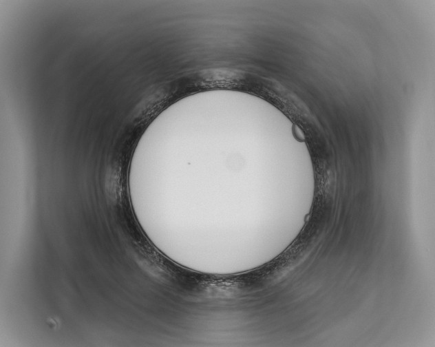 X0000111610599200908071332