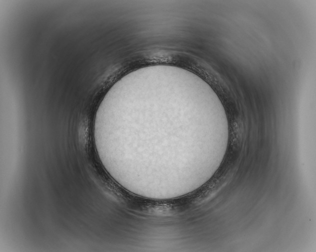 X0000111610600200908071332