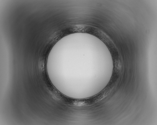 X0000111610602200908071332