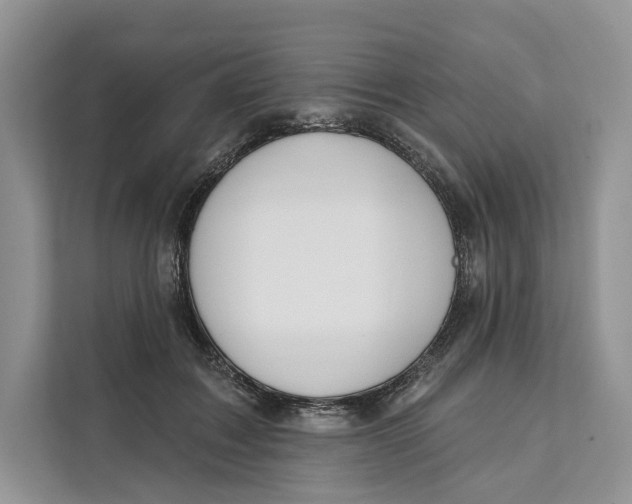 X0000111610603200908071332