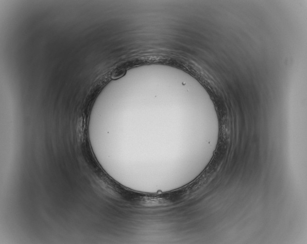 X0000111610605200908071332