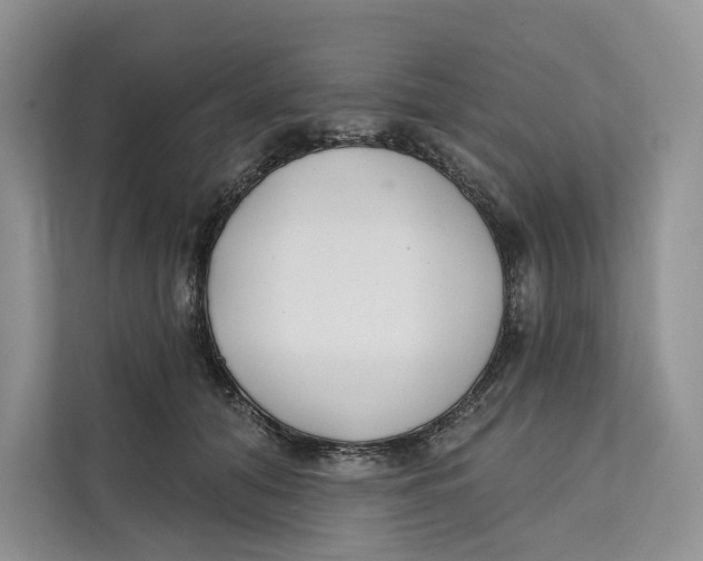 X0000111610608200908071332