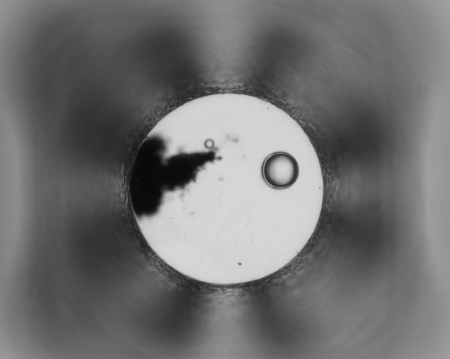 X0000111610609200908071332