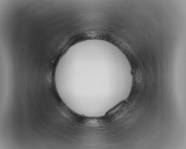 X0000111610611200908071332