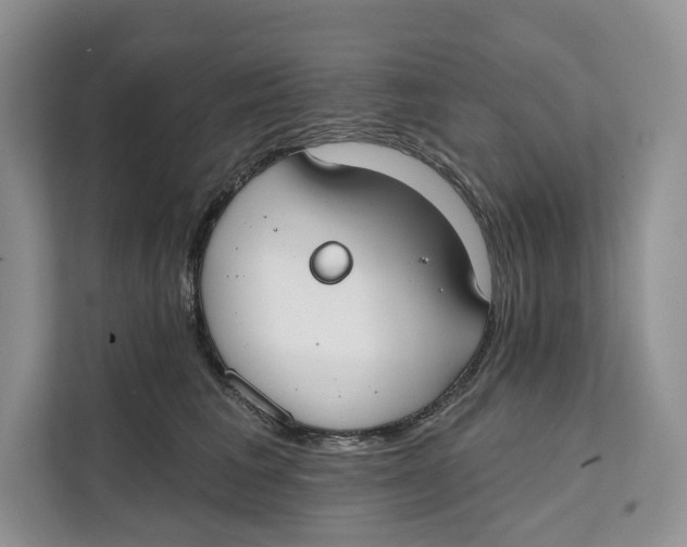 X0000111610613200908071332