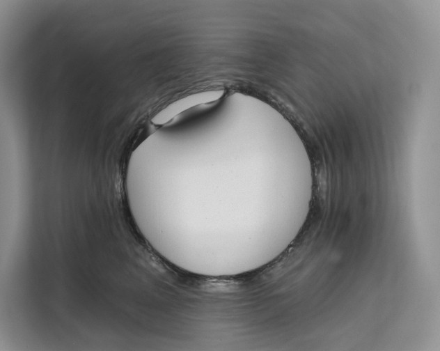 X0000111610617200908071332