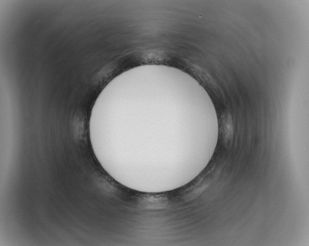 X0000111610619200908071332