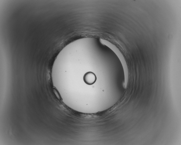 X0000111610621200908071332