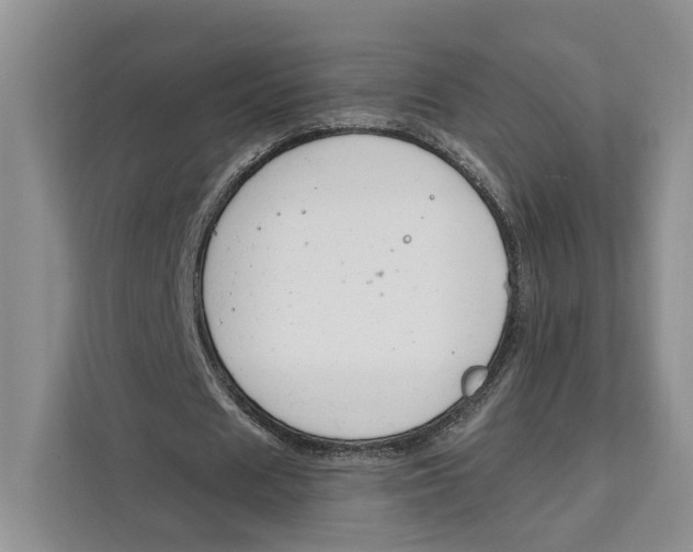 X0000111610625200908071331