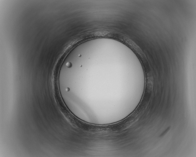 X0000111610626200908071331