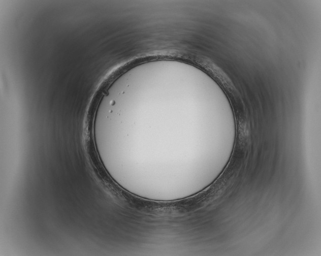 X0000111610628200908071331