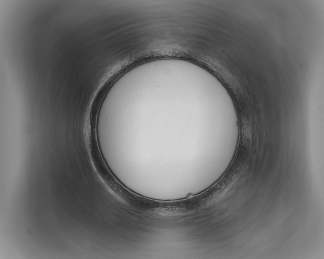 X0000111610630200908071331