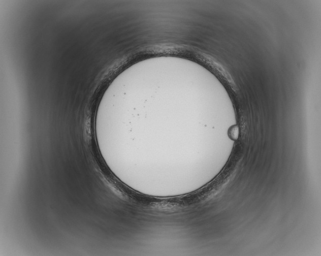 X0000111610633200908071331