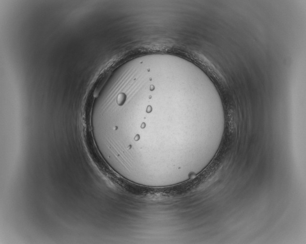 X0000111610634200908071331