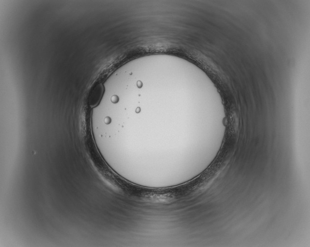 X0000111610638200908071331