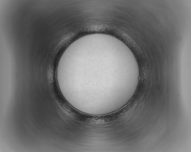 X0000111610640200908071331