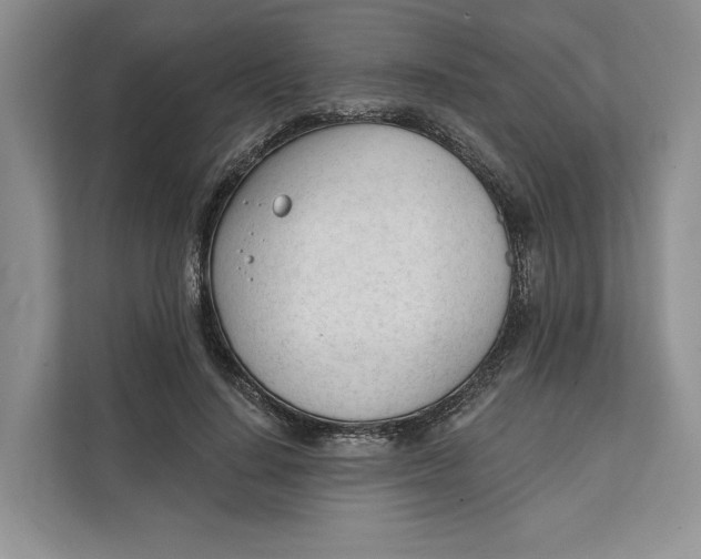 X0000111610644200908071331