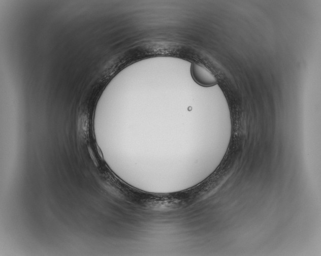 X0000111610646200908071331