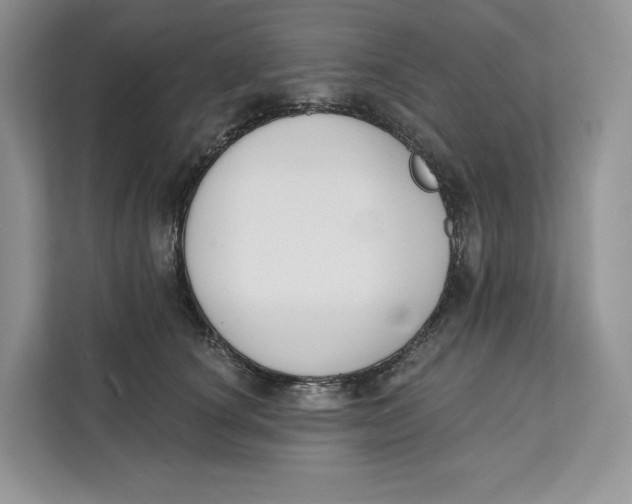 X0000111610660200908071332