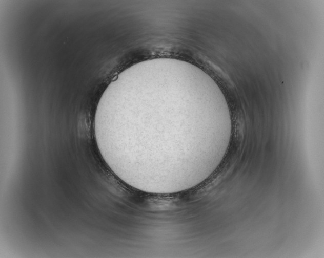 X0000111610661200908071332