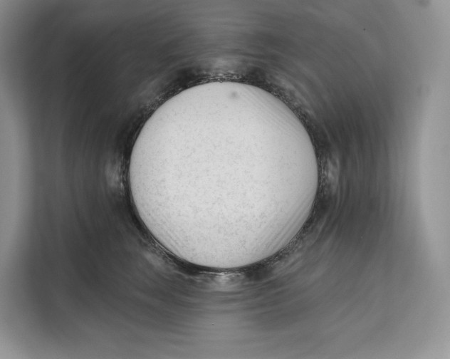 X0000111610663200908071332