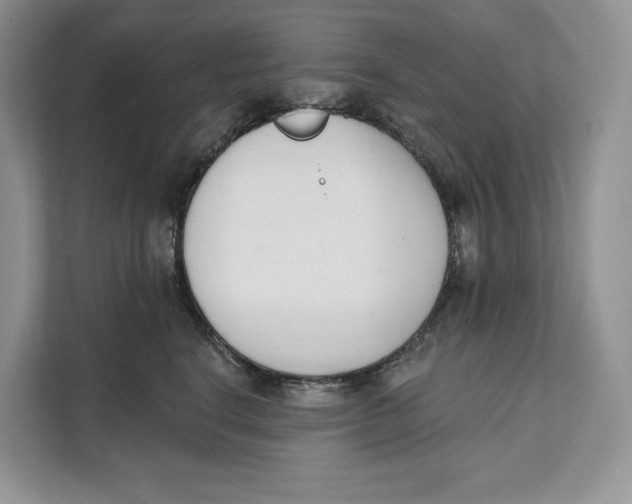 X0000111610664200908071332