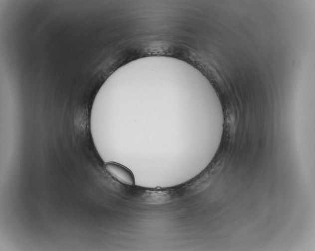 X0000111610665200908071332