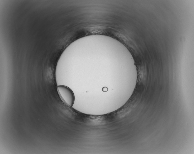 X0000111610667200908071332