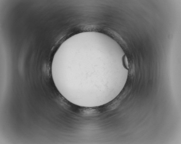 X0000111610669200908071332