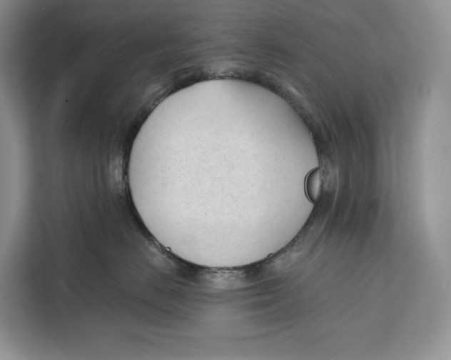 X0000111610670200908071332