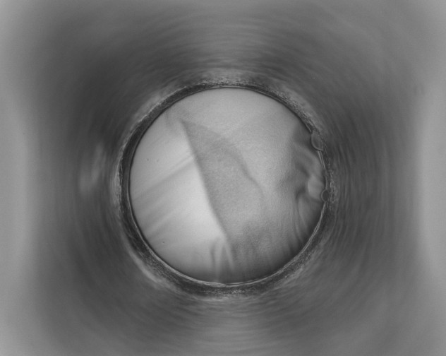 X0000111610674200908071331