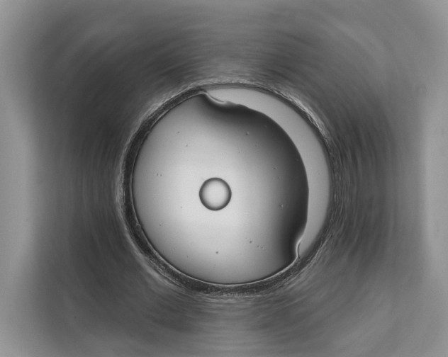 X0000111610677200908071331