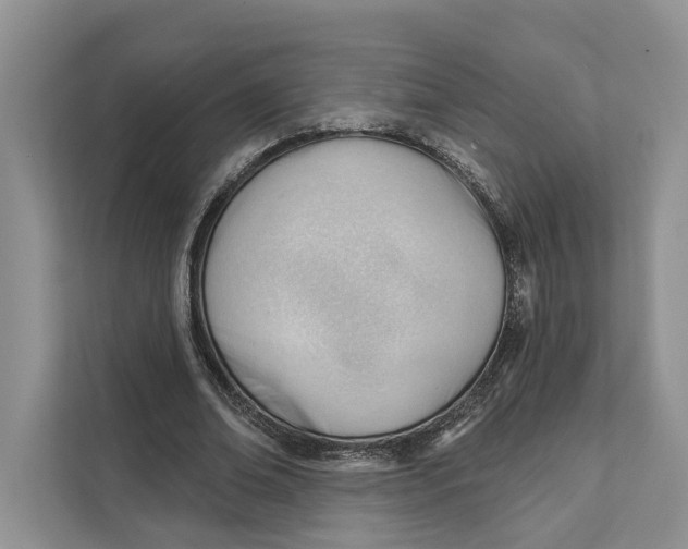 X0000111610678200908071331