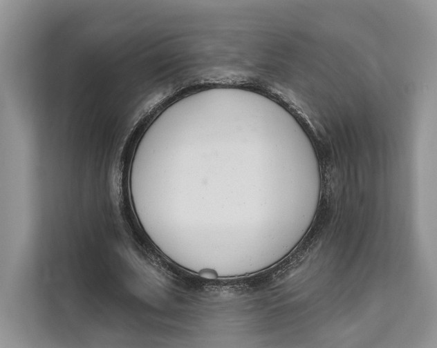 X0000111610679200908071331