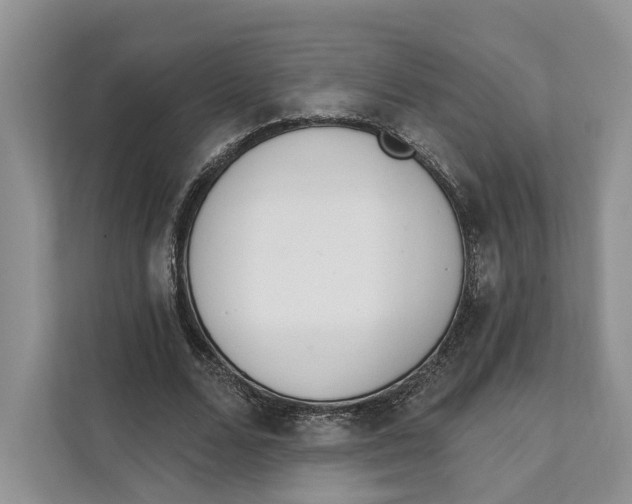 X0000111610680200908071331